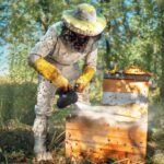 Treatment Of Hives With Smoke With Medicine. Prevention And Treatment Of Bee Diseases.