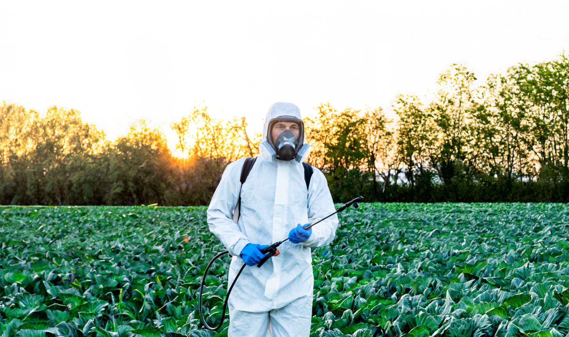 Farmer Spraying Pesticide Field Mask Harvest Protective Chemical