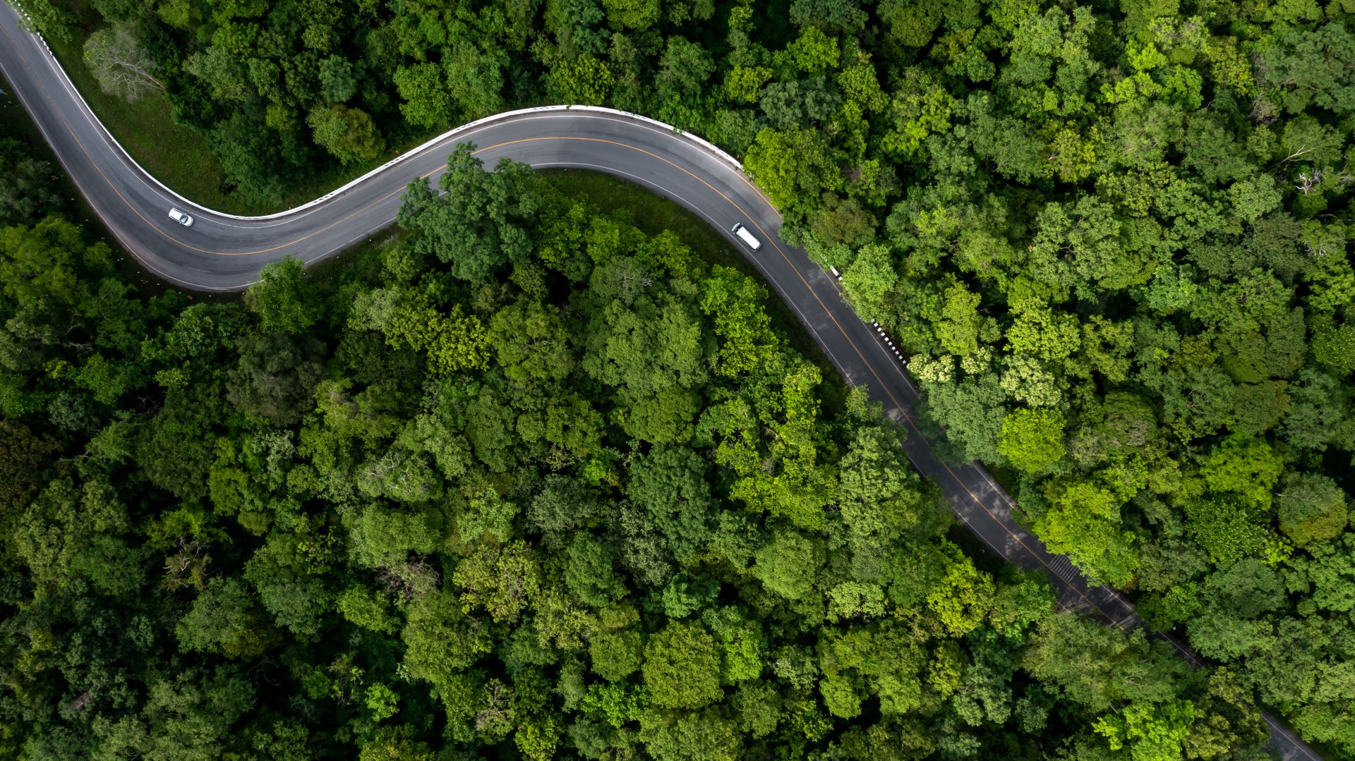 Aerial View Green Forest With Car On The Asphalt R 2023 11 27 05 19 14 Utc