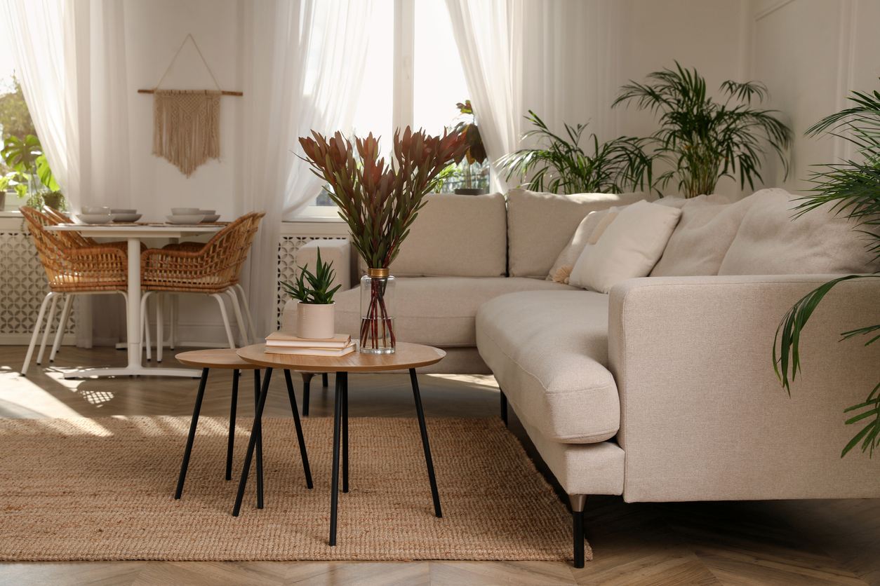Stylish Room Interior With Comfortable Sofa And Beautiful Houseplants